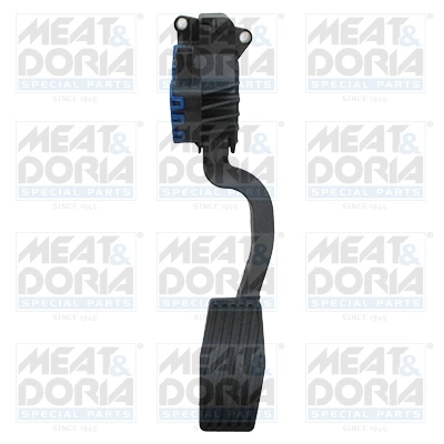 Accelerator Pedal Unit